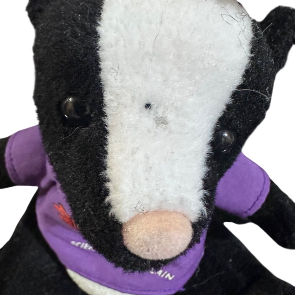 Vintage 1999 Harley-Davidson "Starke" The Skunk Plush Bean Bag Toy Black/White W - Picture 4 of 8